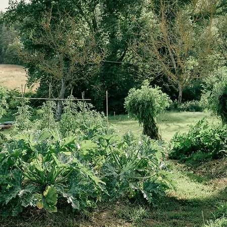 Traditional In The Heart Of Umbria Poggio Aquilone